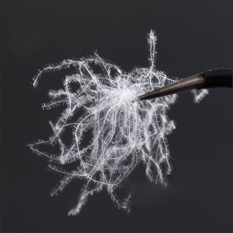 80 % ren hvid andedun 80 % ren hvid andedun